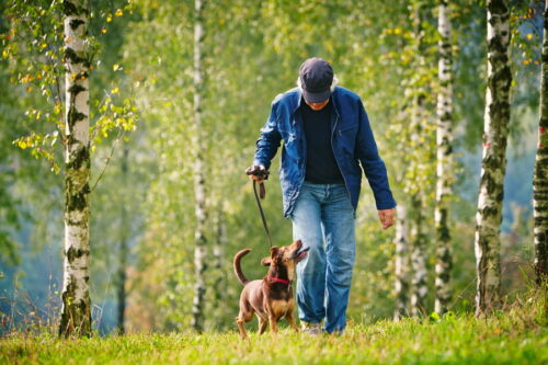 散歩中の飼い主と犬
