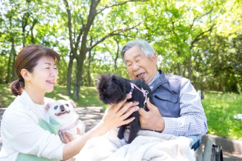 犬と嬉しそうな老人