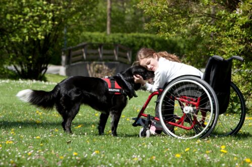 車いすの女性と犬