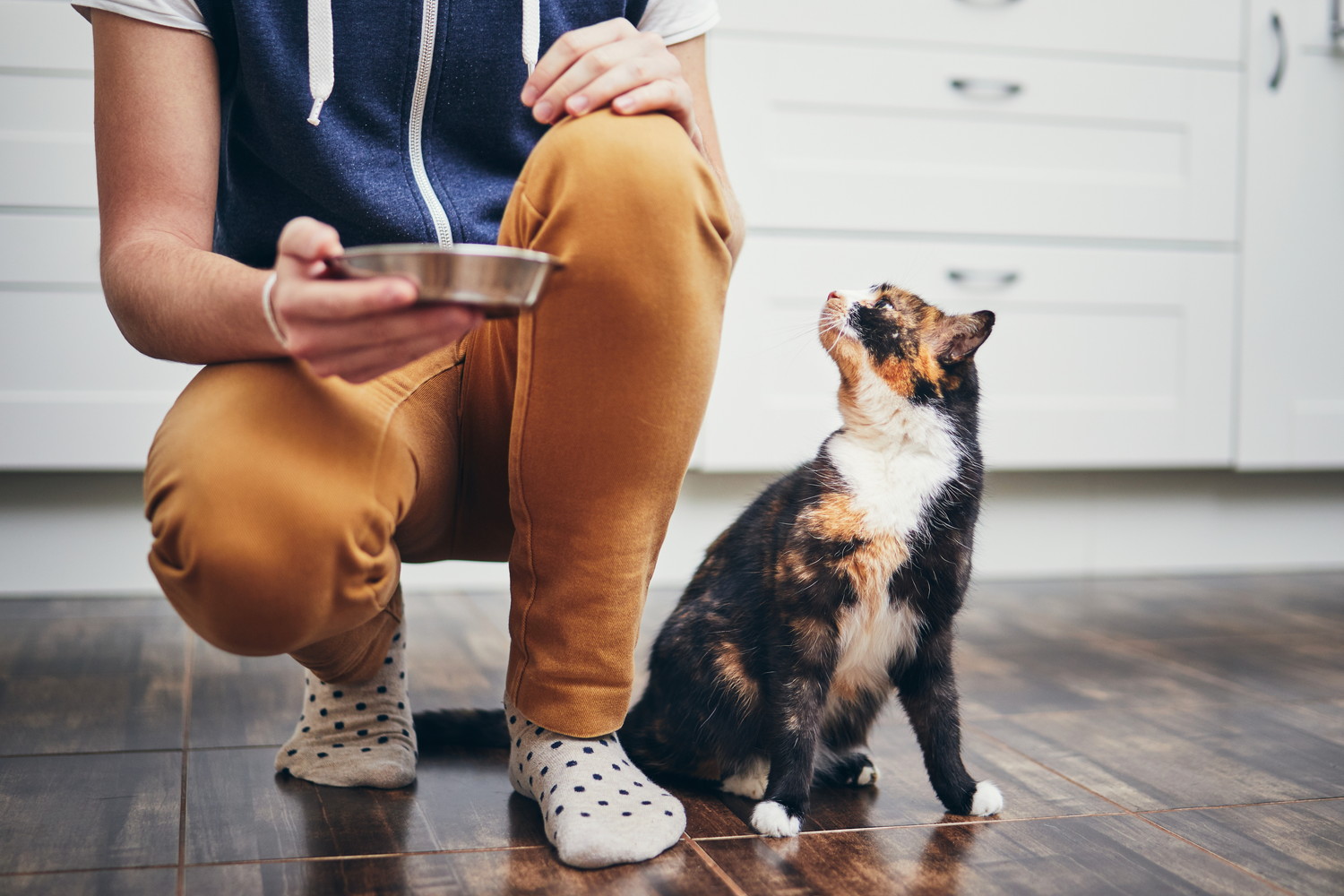 食器を差し出そうとしている飼い主と隣で見上げる猫