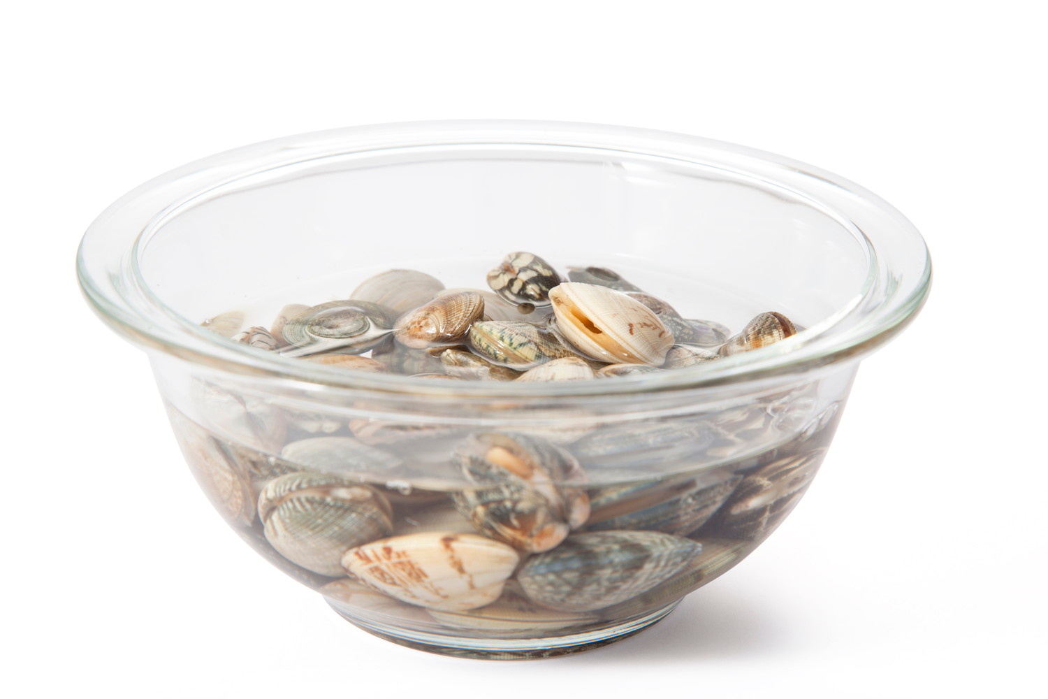 ボウルの中で砂抜き中のあさり