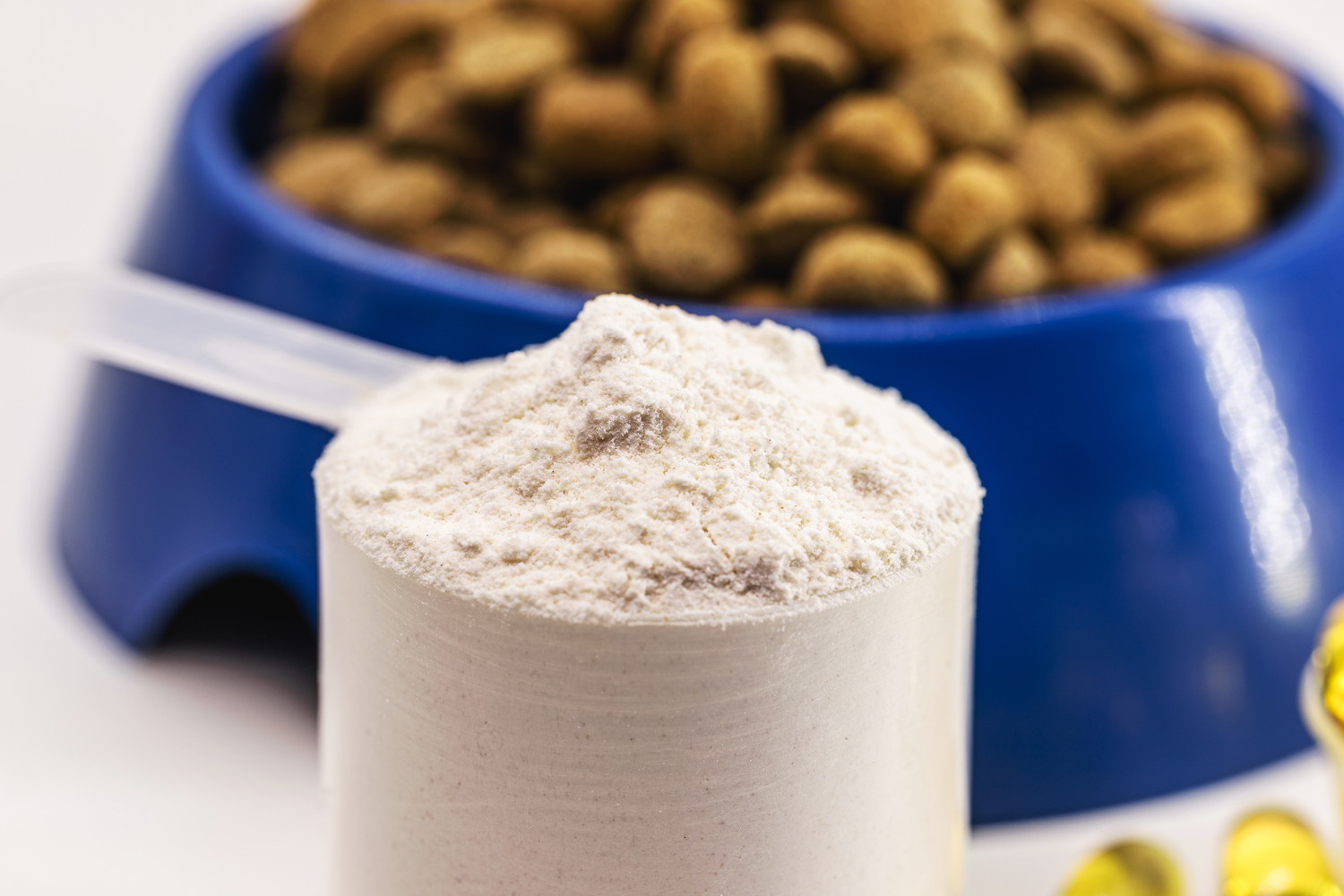 粉末状のサプリメントと食器に入ったドッグフード