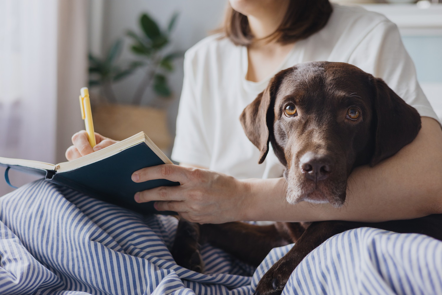 犬のそばでメモを取る飼い主