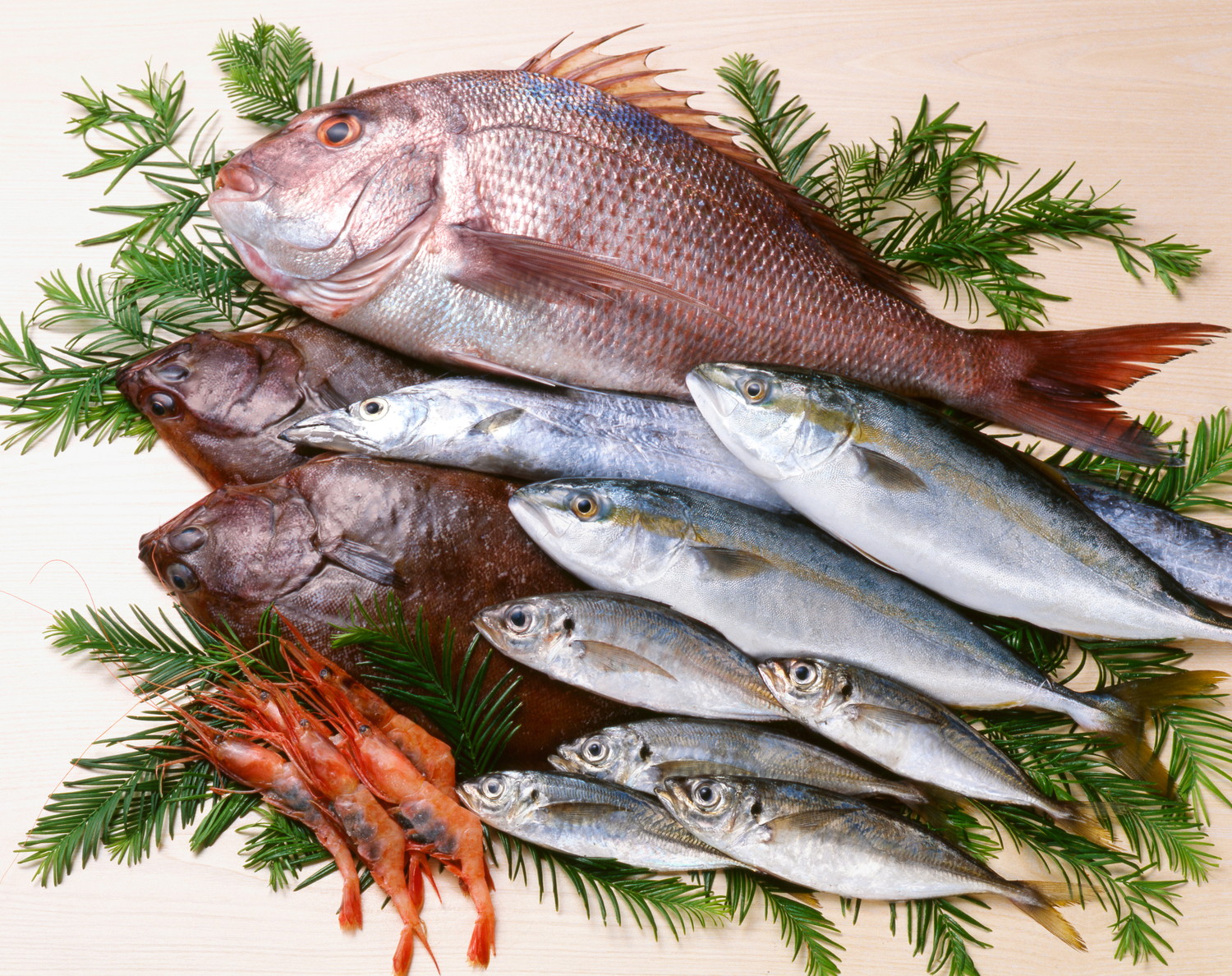 種類の異なる生魚が並べて置かれている光景