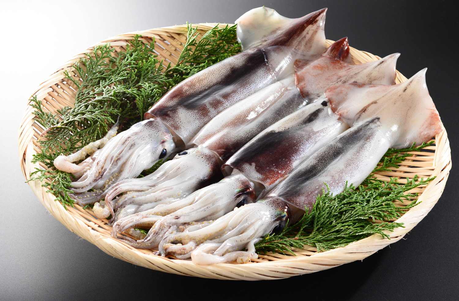 ざるに並べられた生のスルメイカ