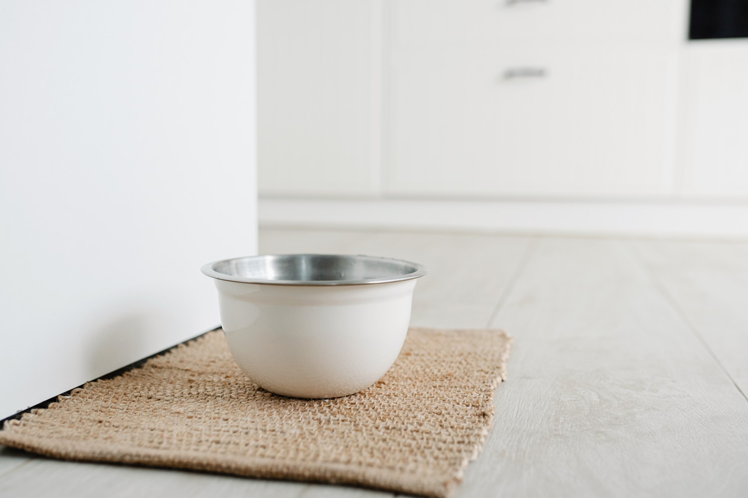 壁際に置かれた犬用の飲水食器