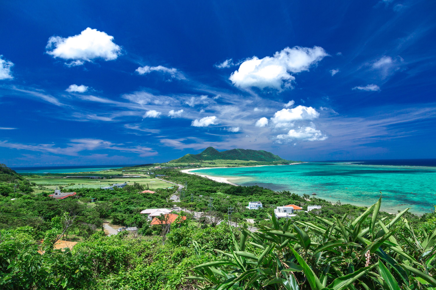 沖縄県石垣島の海が見える光景