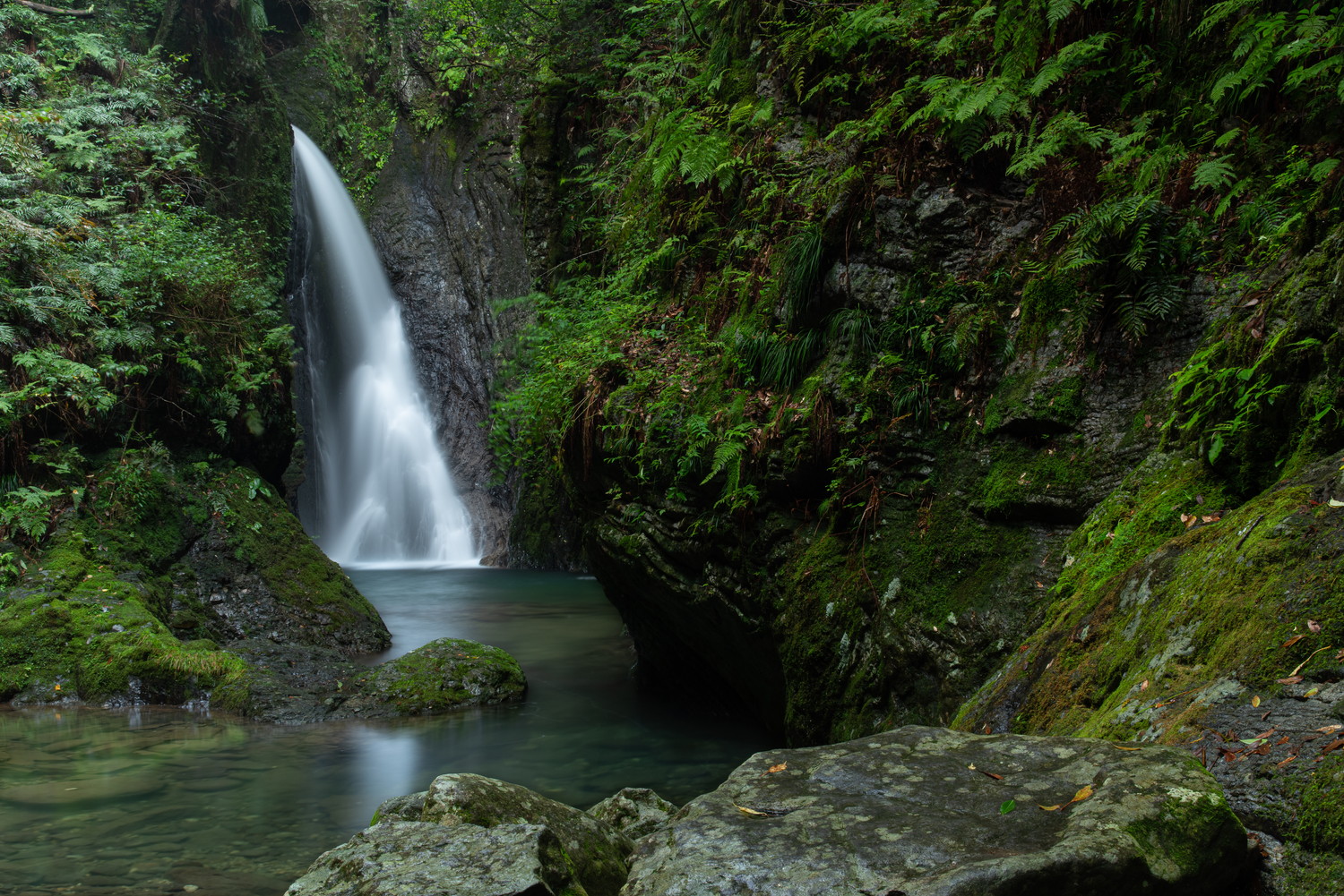 岐阜県郡上市の山の中のイメージ