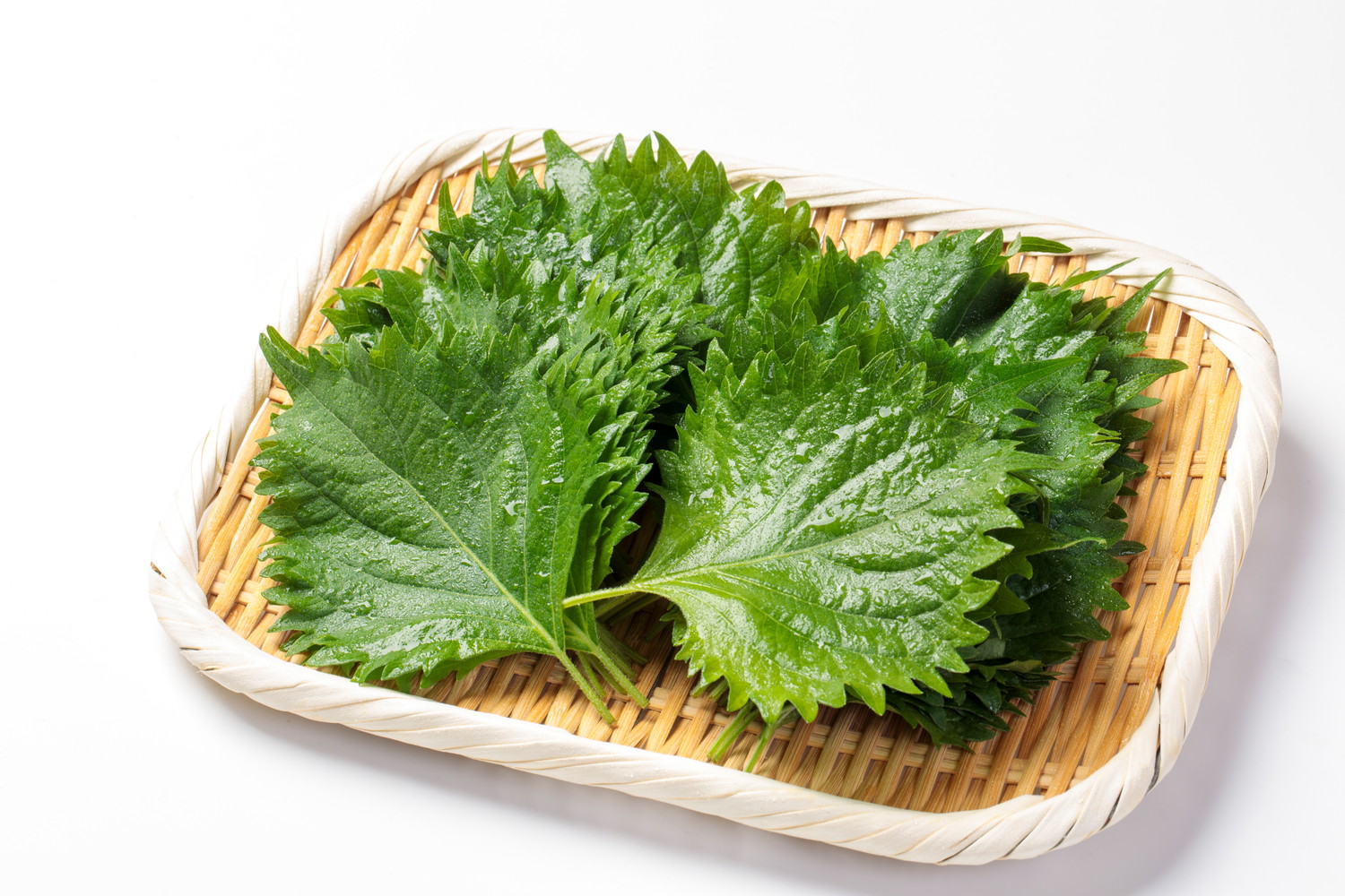 ざるに並べられた大葉