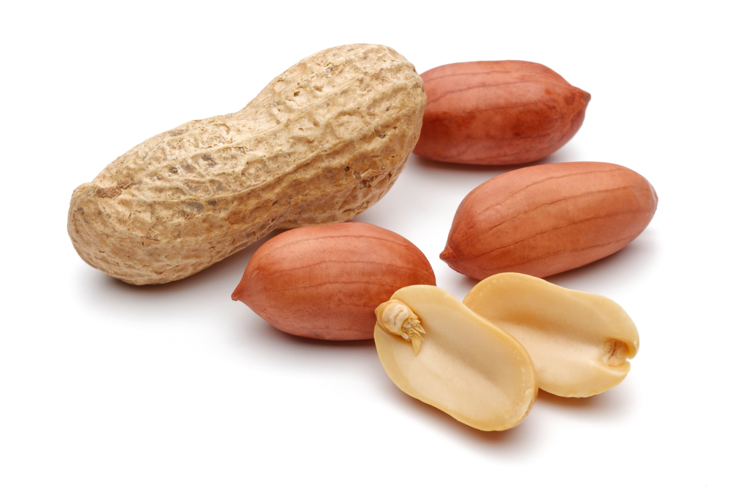 殻付きと殻をむいたピーナッツが並んでいる光景