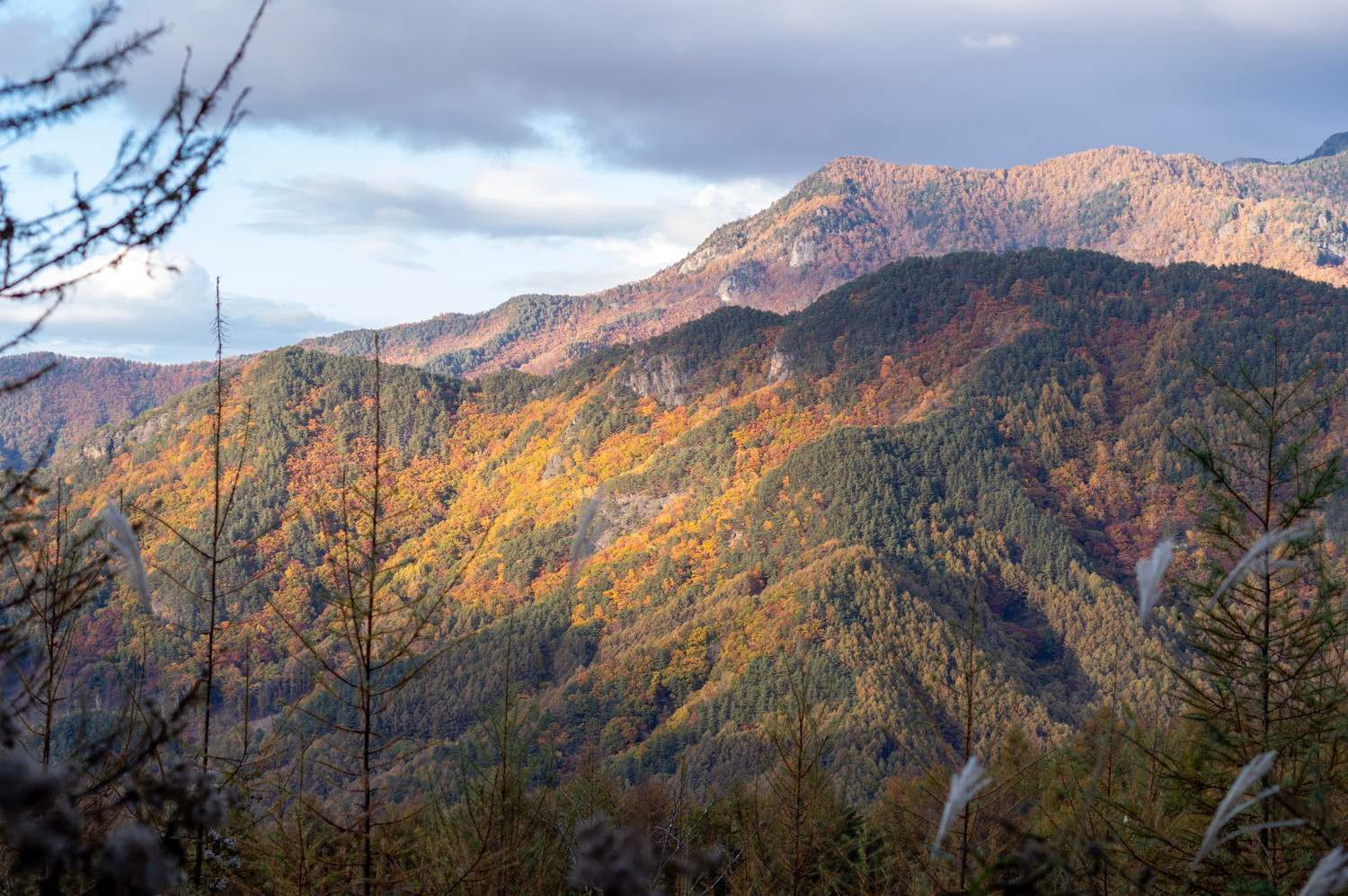 長野県川上村の山々の光景