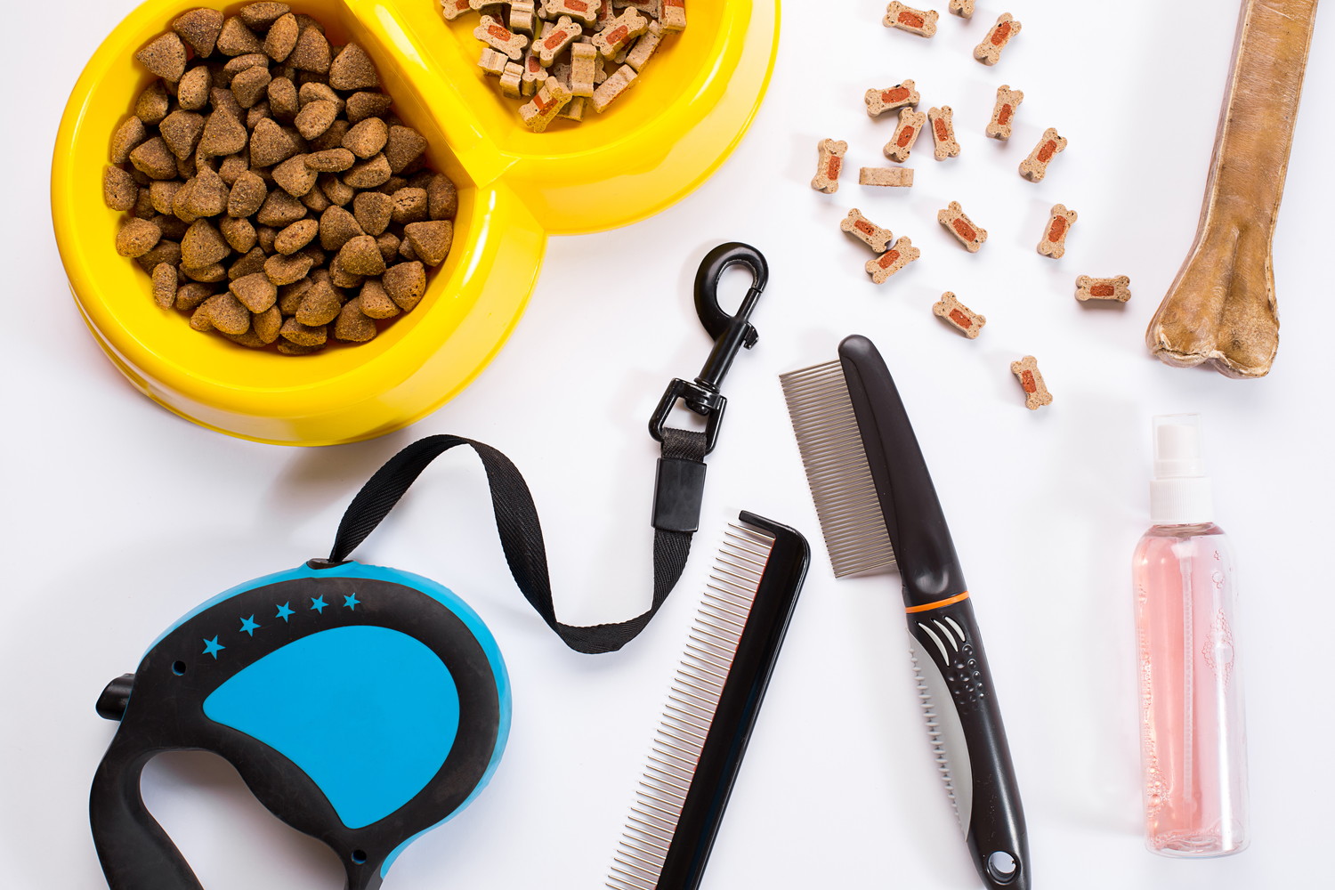 犬用のフードやリード、ケア用品が並んでいる光景