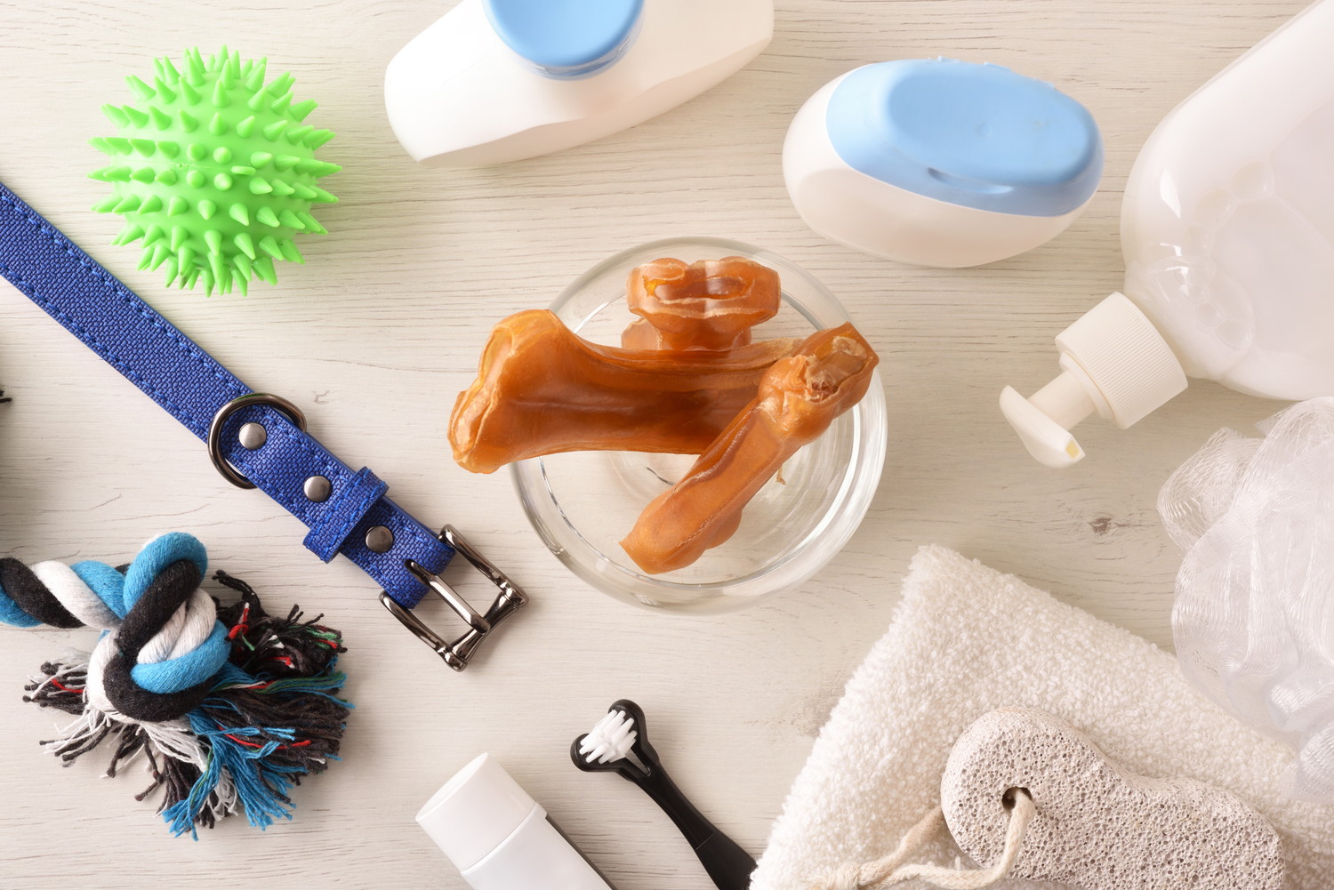 日本テリアの飼育に必要なグッズが並んでいる光景