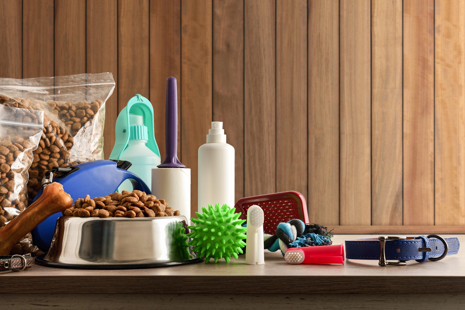 琉球犬の飼育に必要なフードやケアグッズ