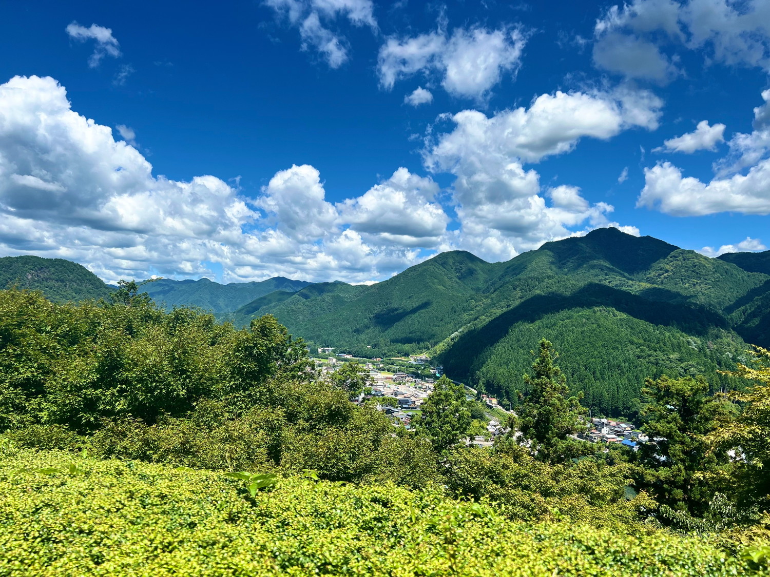美濃柴犬が飼育されてきた岐阜県郡上市の山の光景