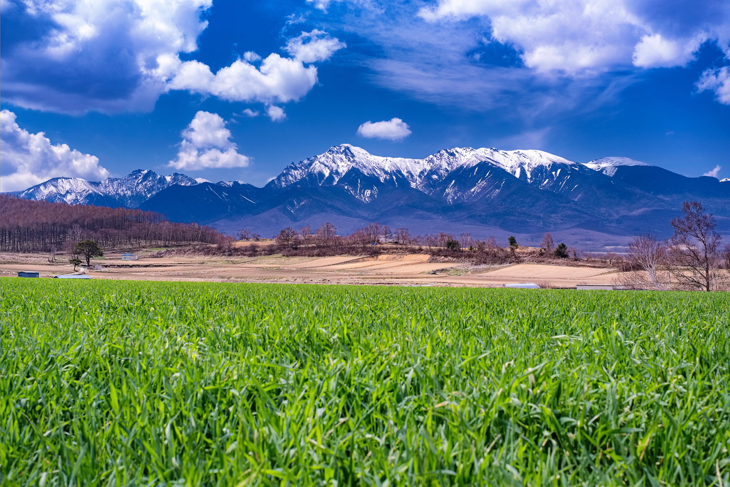 青空が広がる長野県川上村の光景