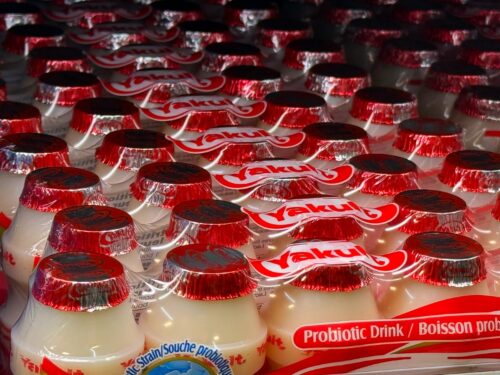 店頭に並ぶヤクルト