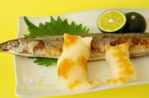 焼き秋刀魚と大根おろし猫