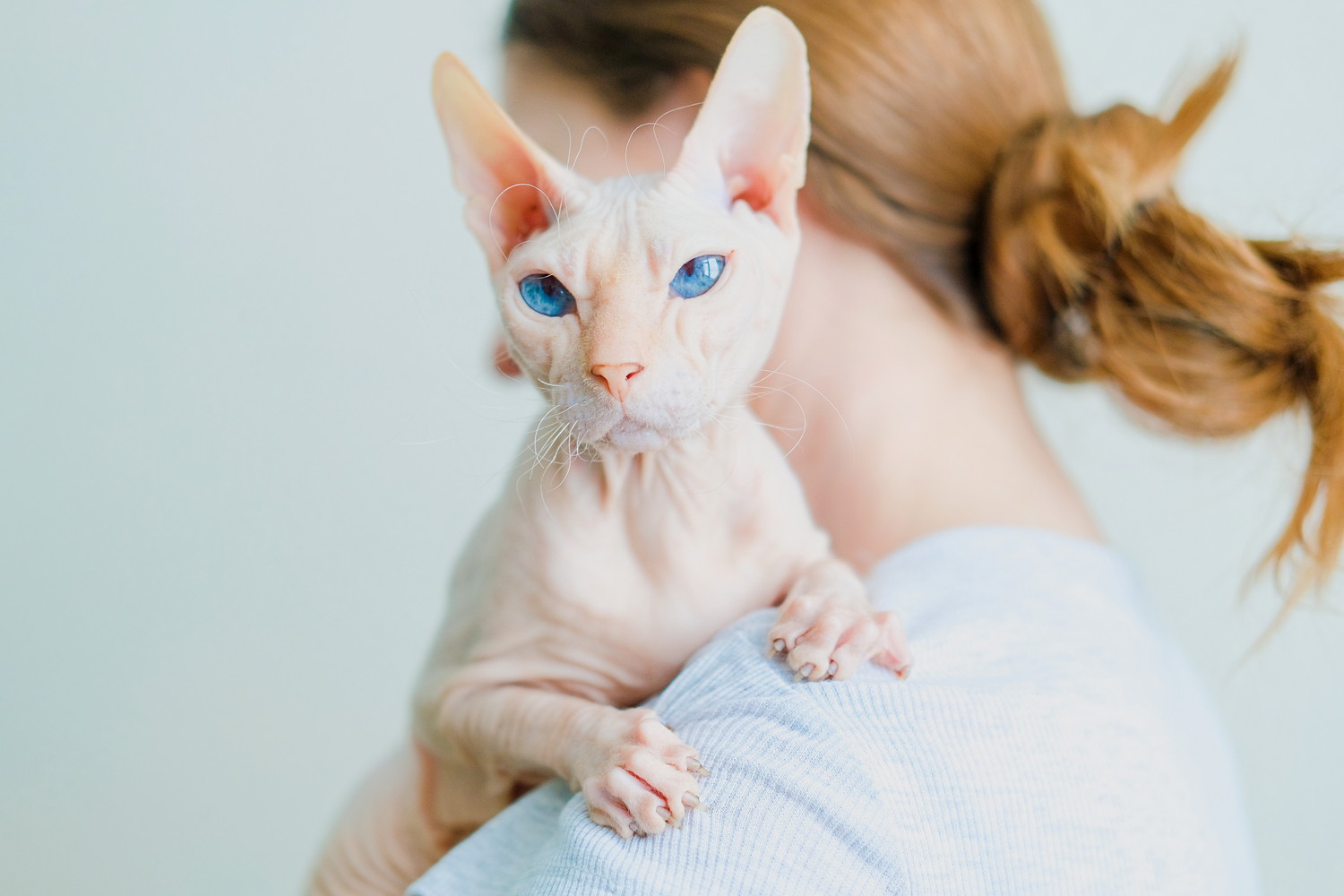 飼い主に抱っこされて肩に手を置くドンスコイ