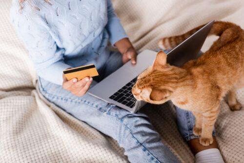 猫とカードを持つ女性