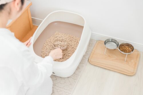トイレやごはん