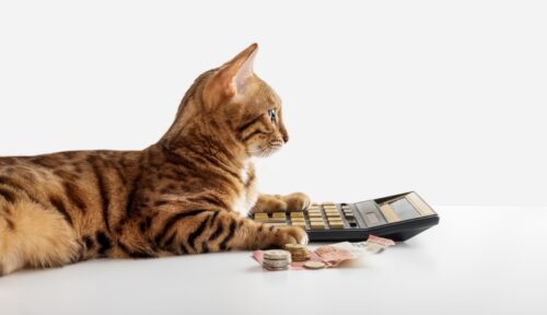 猫とお金と電卓
