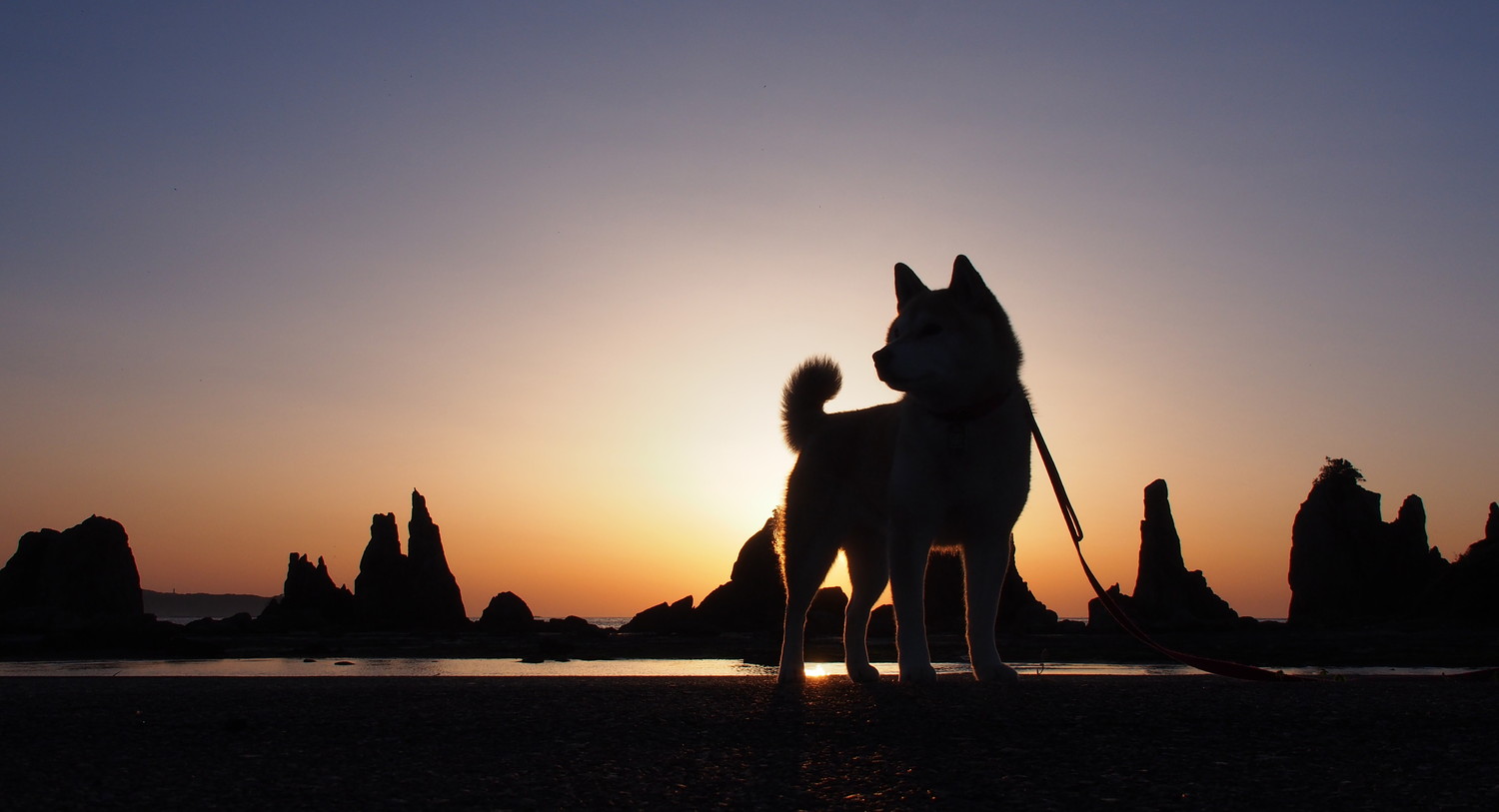 夕日に照らされる岩と日本犬のシルエット