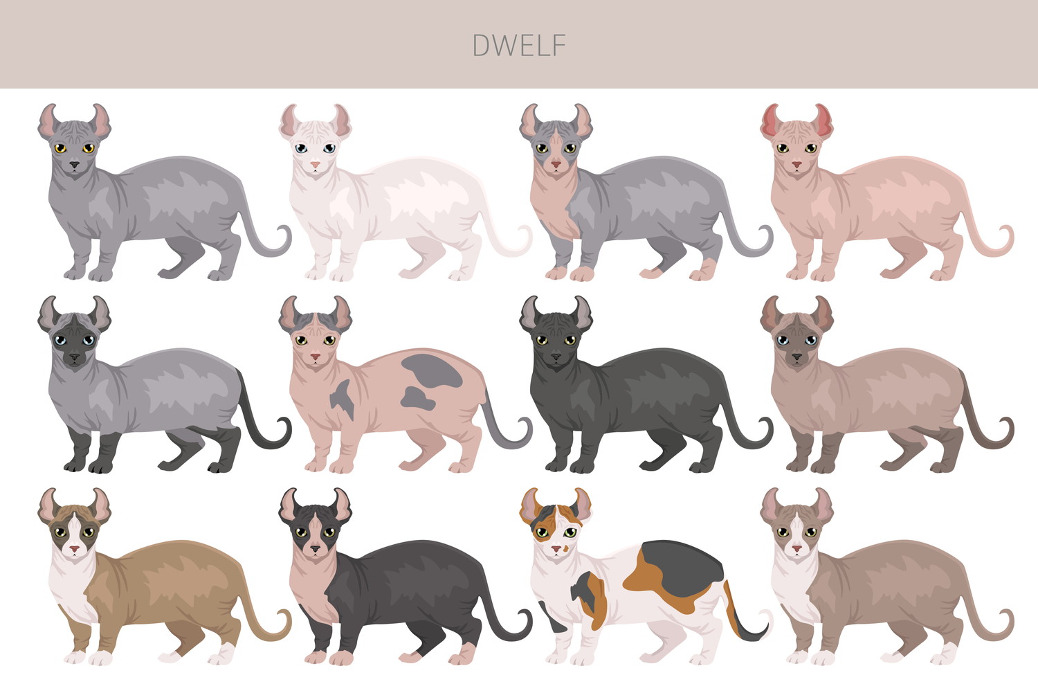 ドウェルフの色を一覧でまとめたイラスト