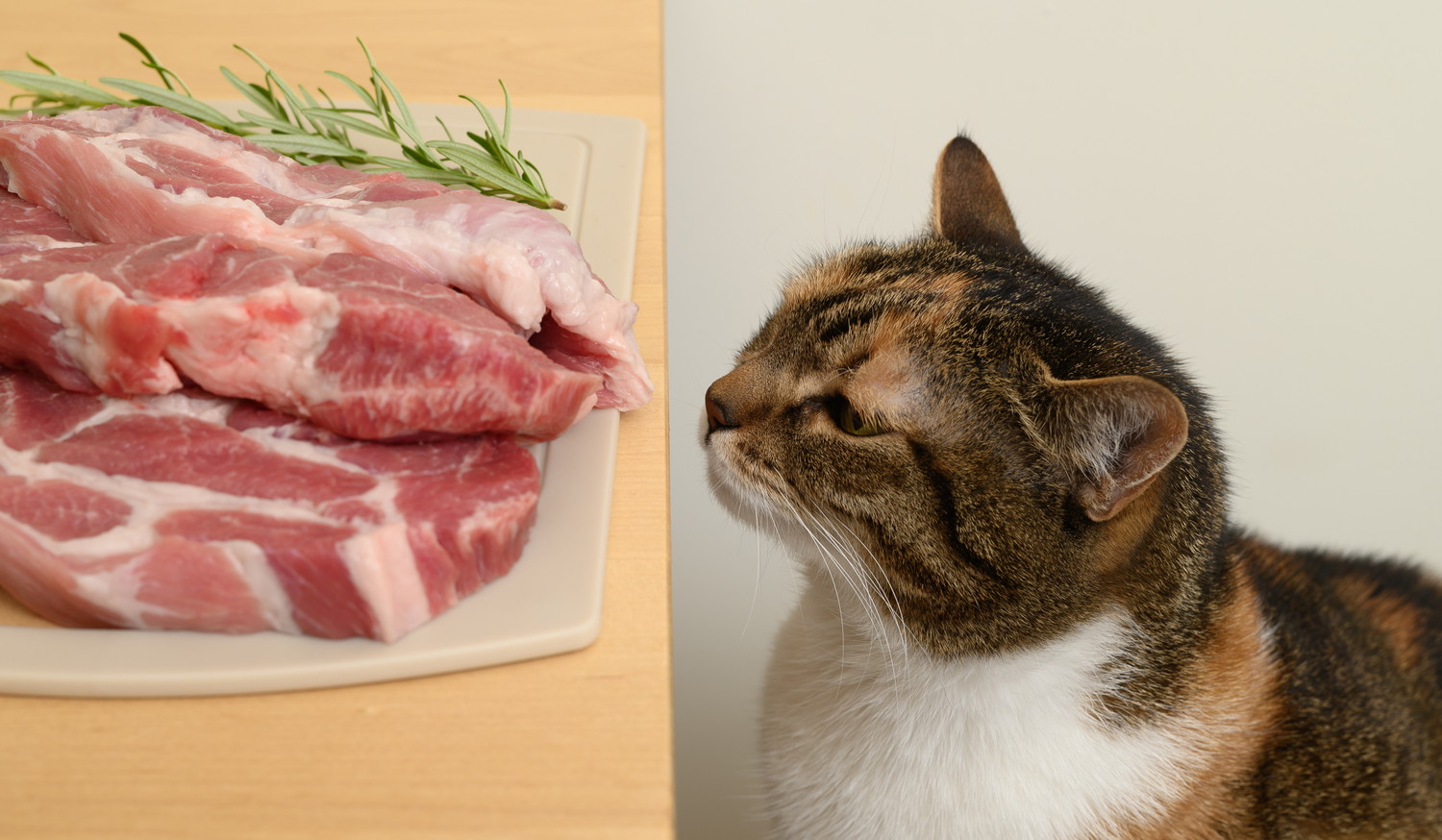 まな板の上に置かれた生肉を見つめる猫