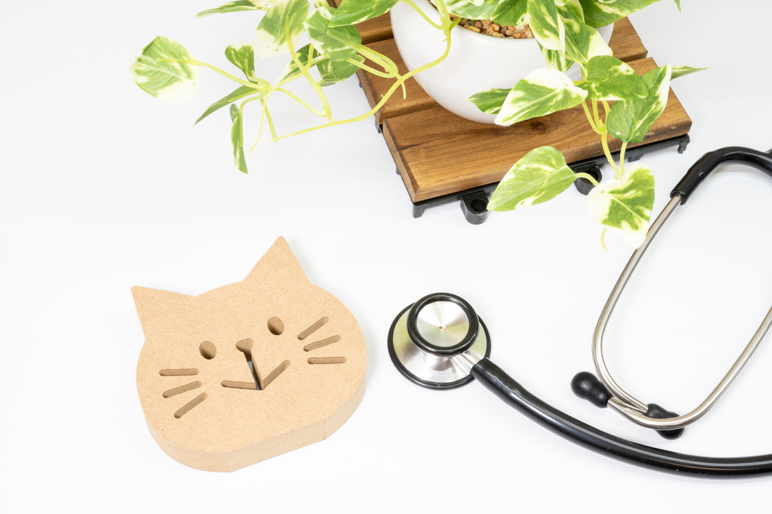 猫の形をした木のモチーフと聴診器