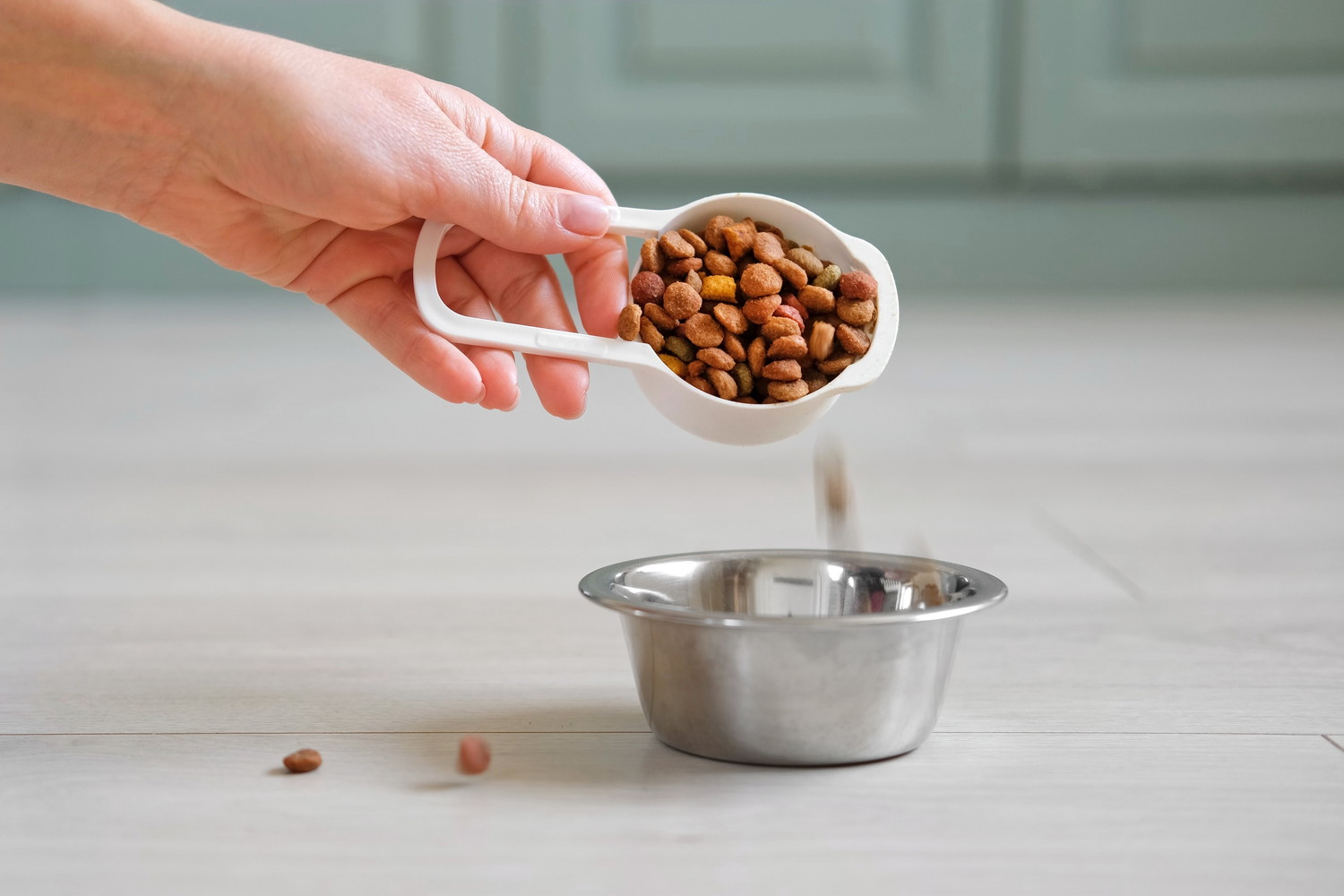 食器にドライフードを入れている人の手